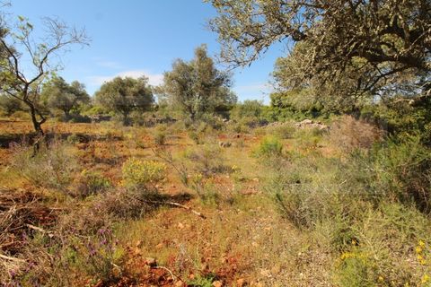 Helårsgrund i Silves, Faro, Silves - € 69.000 | Ref: STC2408 - foto 7