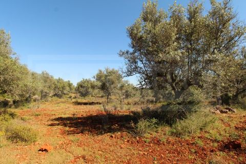 Helårsgrund i Silves, Faro, Silves - € 69.000 | Ref: STC2408 - foto 8