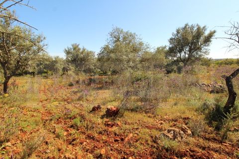 Helårsgrund i Silves, Faro, Silves - € 69.000 | Ref: STC2408 - foto 9