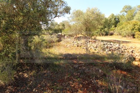 Helårsgrund i Silves, Faro, Silves - € 69.000 | Ref: STC2408 - foto 10