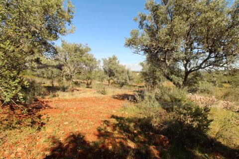 Helårsgrund i Silves, Faro, Silves - € 69.000 | Ref: STC2408 - foto 11