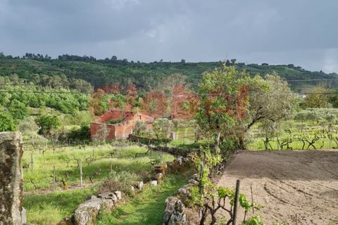 Helårsgrund i Viseu, Viseu, Viseu - € 66.500 | Ref: 189212062 - foto 2