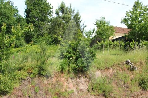 Helårsgrund i Agueda, Aveiro, Agueda - € 25.000 | Ref: 1011188/21 GL - foto 2