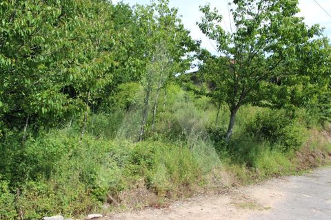 Helårsgrund i Agueda, Aveiro, Agueda - € 25.000 | Ref: 1011188/21 GL - foto 3
