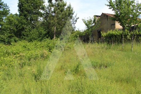 Helårsgrund i Agueda, Aveiro, Agueda - € 25.000 | Ref: 1011188/21 GL - foto 4