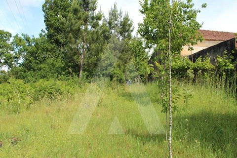 Helårsgrund i Agueda, Aveiro, Agueda - € 25.000 | Ref: 1011188/21 GL - foto 5