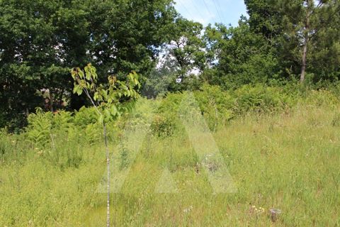 Helårsgrund i Agueda, Aveiro, Agueda - € 25.000 | Ref: 1011188/21 GL - foto 6