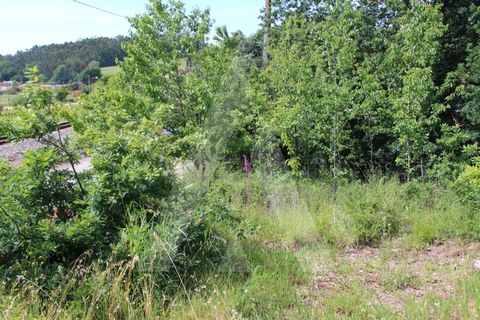 Helårsgrund i Agueda, Aveiro, Agueda - € 25.000 | Ref: 1011188/21 GL - foto 9