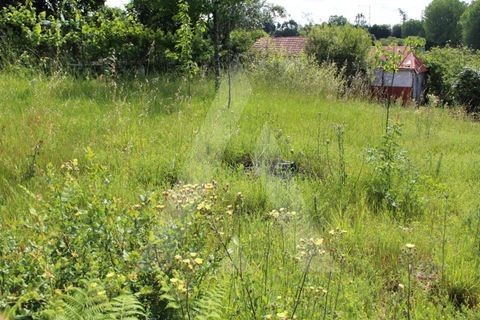 Helårsgrund i Agueda, Aveiro, Agueda - € 25.000 | Ref: 1011188/21 GL - foto 11