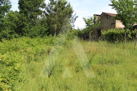 Helårsgrund i Agueda, Aveiro, Agueda - € 25.000 | Ref: 1011188/21 GL - foto 12