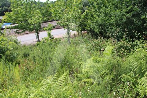 Helårsgrund i Agueda, Aveiro, Agueda - € 25.000 | Ref: 1011188/21 GL - foto 13