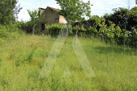Helårsgrund i Agueda, Aveiro, Agueda - € 25.000 | Ref: 1011188/21 GL - foto 14