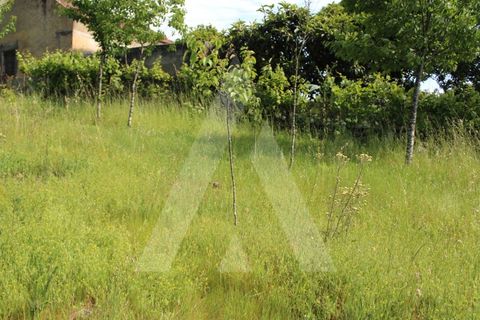 Helårsgrund i Agueda, Aveiro, Agueda - € 25.000 | Ref: 1011188/21 GL - foto 15