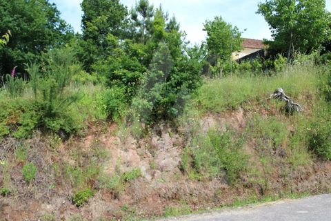 Helårsgrund i Agueda, Aveiro, Agueda - € 25.000 | Ref: 1011188/21 GL - foto 16