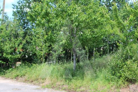 Helårsgrund i Agueda, Aveiro, Agueda - € 25.000 | Ref: 1011188/21 GL - foto 18