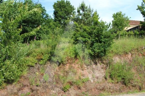 Helårsgrund i Agueda, Aveiro, Agueda - € 25.000 | Ref: 1011188/21 GL - foto 19