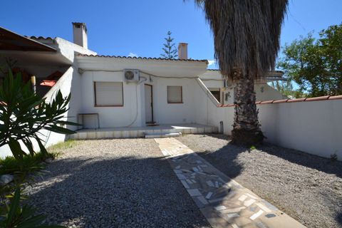 Villa i Deltebre, Tarragona, Deltebre - € 520.000 | Ref: FZR1121/6931 - foto 21