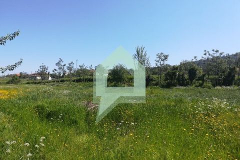 Terra a Guimaraes, Braga, Guimaraes - € 380.000 | Ref: 001744 - foto 2