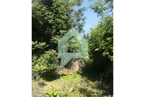 Terra a Guimaraes, Braga, Guimaraes - € 380.000 | Ref: 001744 - foto 8