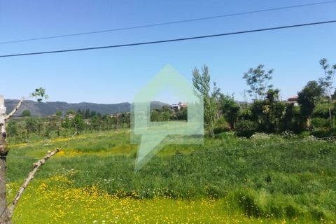 Terra a Guimaraes, Braga, Guimaraes - € 380.000 | Ref: 001744 - foto 11