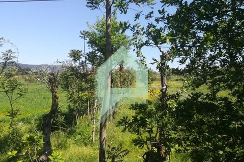 Terra a Guimaraes, Braga, Guimaraes - € 380.000 | Ref: 001744 - foto 12