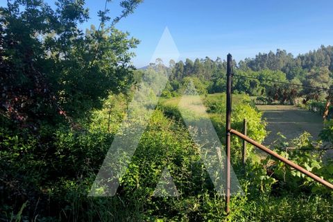 Grond in Sever do Vouga, Aveiro, Sever do Vouga - € 10.500 | Ref: 1060571/21 AL - foto 2