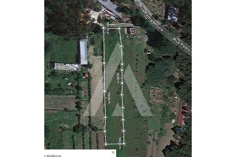 Grond in Sever do Vouga, Aveiro, Sever do Vouga - € 10.500 | Ref: 1060571/21 AL - foto 13