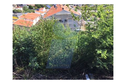 Helårsgrund i Anadia, Aveiro, Anadia - € 35.000 | Ref: PAR_666 - foto 5