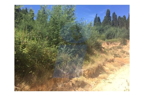 Helårsgrund i Anadia, Aveiro, Anadia - € 35.000 | Ref: PAR_666 - foto 6