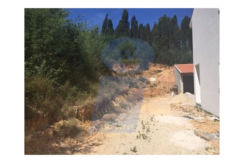 Helårsgrund i Anadia, Aveiro, Anadia - € 35.000 | Ref: PAR_666 - foto 7