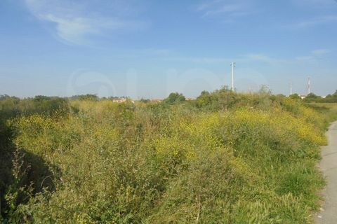 Helårsgrund i Aveiro, Aveiro, Aveiro - € 115.000 | Ref: 41222 - foto 5