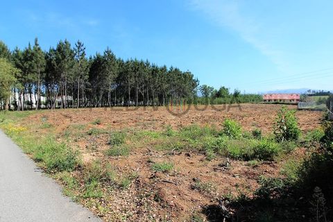 Helårsgrund i Agueda, Aveiro, Agueda - € 96.000 | Ref: IMO_172 - foto 2