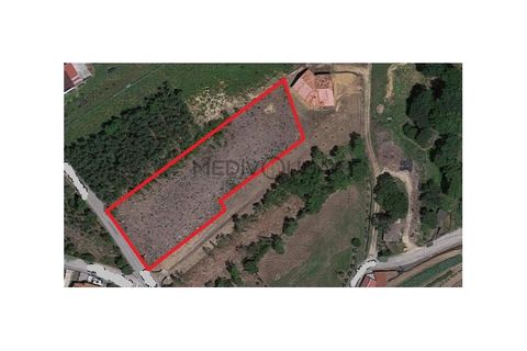 Helårsgrund i Agueda, Aveiro, Agueda - € 96.000 | Ref: IMO_172 - foto 3