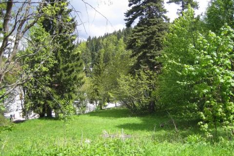 Terra a Peïra-Cava, Alpes-Maritimes, Peïra-Cava - € 134.000 | Ref: 354 - foto 4