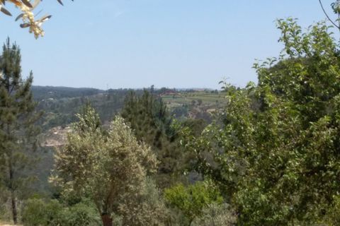 Helårsgrund i Viseu, Viseu, Viseu - € 85.000 | Ref: 1853/V - foto 2