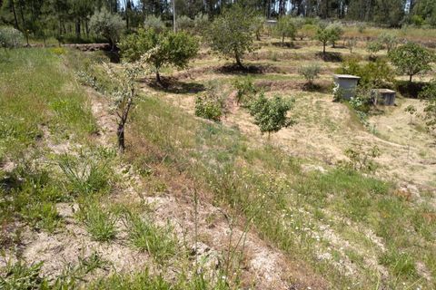 Helårsgrund i Viseu, Viseu, Viseu - € 85.000 | Ref: 1853/V - foto 3