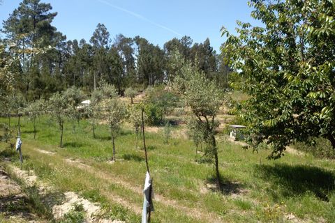 Helårsgrund i Viseu, Viseu, Viseu - € 85.000 | Ref: 1853/V - foto 4