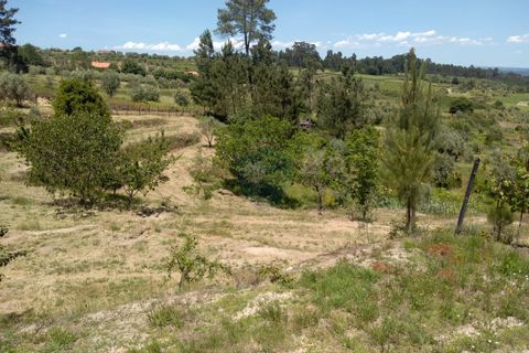 Helårsgrund i Viseu, Viseu, Viseu - € 85.000 | Ref: 1853/V - foto 5