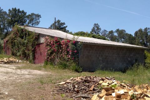 Helårsgrund i Viseu, Viseu, Viseu - € 85.000 | Ref: 1853/V - foto 6