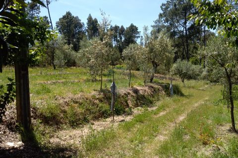 Helårsgrund i Viseu, Viseu, Viseu - € 85.000 | Ref: 1853/V - foto 9