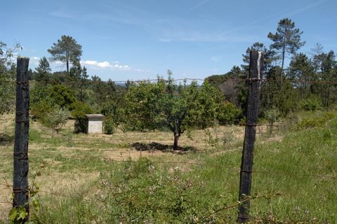 Helårsgrund i Viseu, Viseu, Viseu - € 85.000 | Ref: 1853/V - foto 10