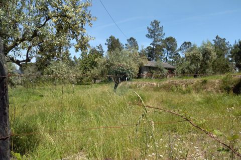 Helårsgrund i Viseu, Viseu, Viseu - € 85.000 | Ref: 1853/V - foto 11