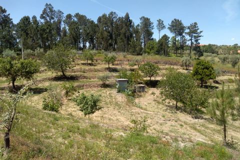 Helårsgrund i Viseu, Viseu, Viseu - € 85.000 | Ref: 1853/V - foto 12