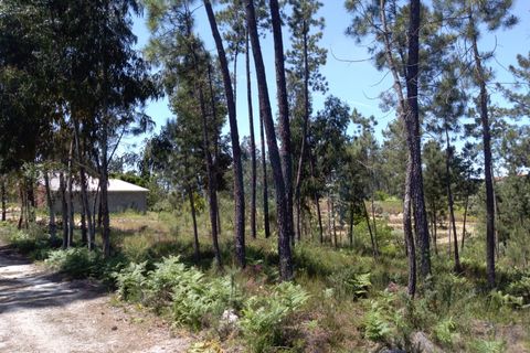 Helårsgrund i Viseu, Viseu, Viseu - € 85.000 | Ref: 1853/V - foto 13