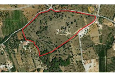 Gård i Albufeira, Faro, Albufeira - € 2 500 000 | Ref: QTA11050 - foto 12
