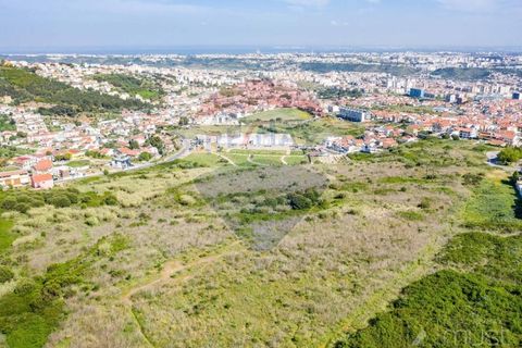 Helårsgrund i Odivelas, Lisbon, Odivelas - € 5.000.000 | Ref: 124151032-184 - foto 4