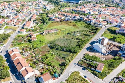 Helårsgrund i Odivelas, Lisbon, Odivelas - € 5.000.000 | Ref: 124151032-184 - foto 14