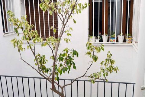Byhus i Torrox, Malaga, Torrox - € 265.000 | Ref: 4234 - foto 11