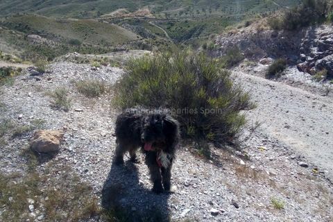 Helårsgrund i Limaria, Almeria, Limaria - € 18.000 | Ref: APS 1682 - foto 5