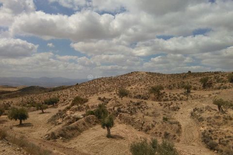 Landejendom i Albox, Almeria, Albox - € 150.000 | Ref: APS 1228 - foto 5
